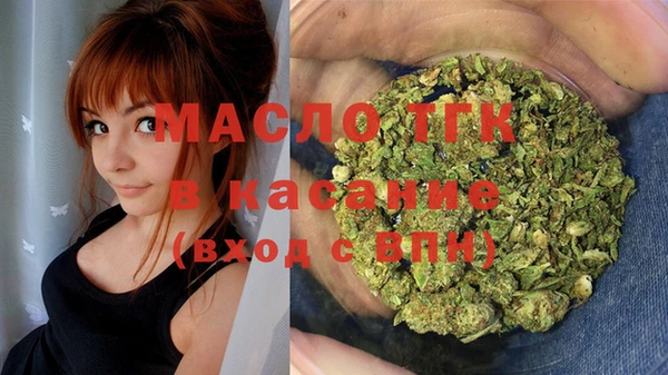 гидра Армянск