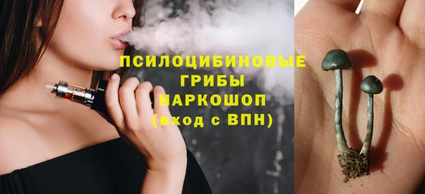 гидра Армянск