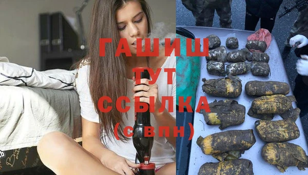 гидра Аркадак