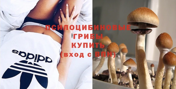 гидра Аркадак