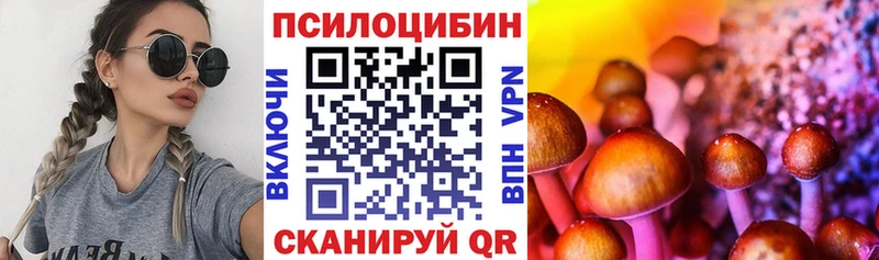 Псилоцибиновые грибы Magic Shrooms  даркнет официальный сайт  Бирюч  mega ТОР 