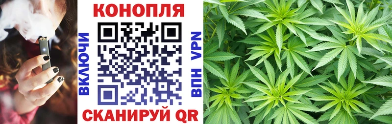 Марихуана план  Бирюч 