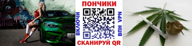Бошки Шишки планчик Бирюч
